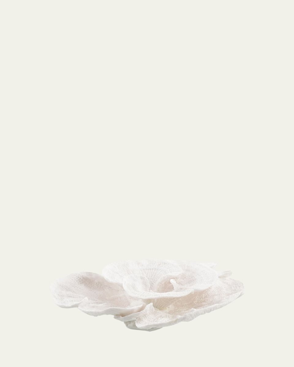 Foliose Coral